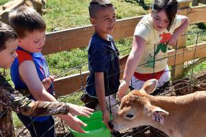 Activities about for B&G Club summer campers