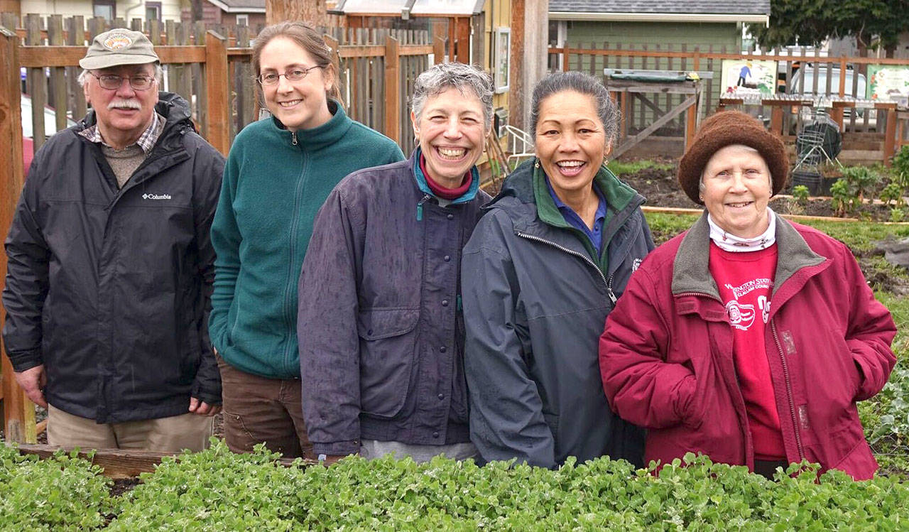 How the garden grows — in July