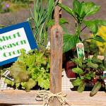 Get It Growing: Short season fall vegetable gardening