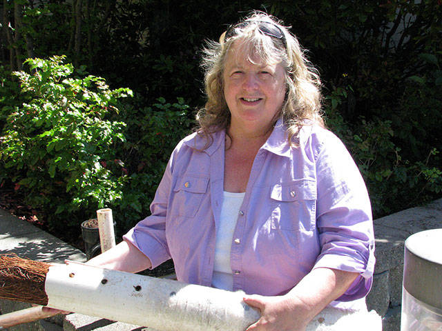 All about roots, soils and septic systems