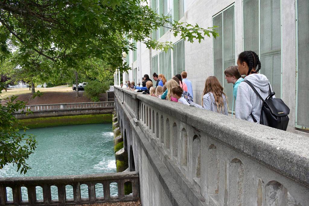 ‘Shark Week,’ outdoor fun on menu for B&G summer campers