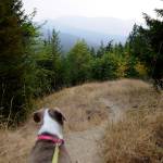 On the Trail: Day trip delight on the Gray Wolf Trail