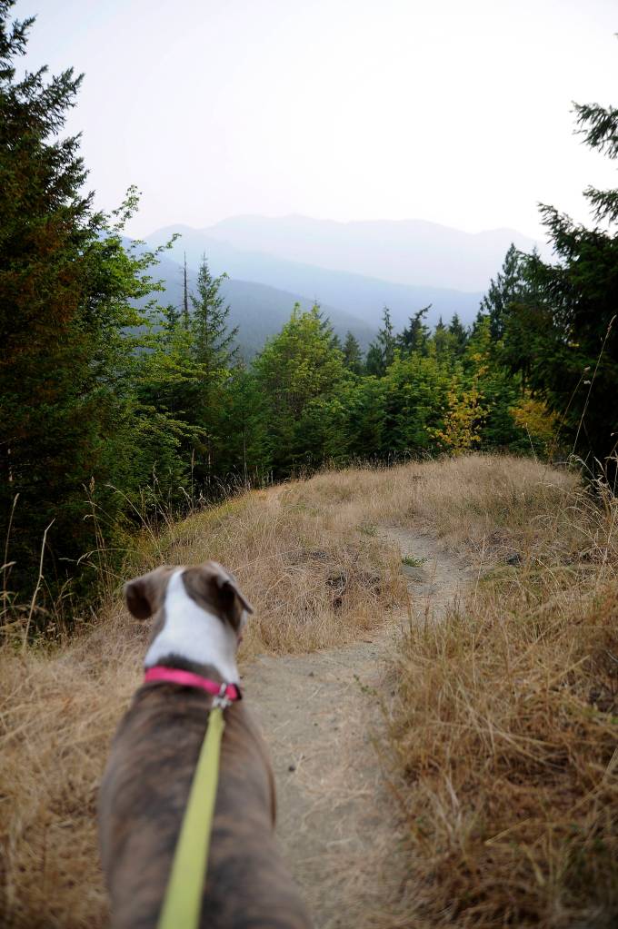 On the Trail: Day trip delight on the Gray Wolf Trail