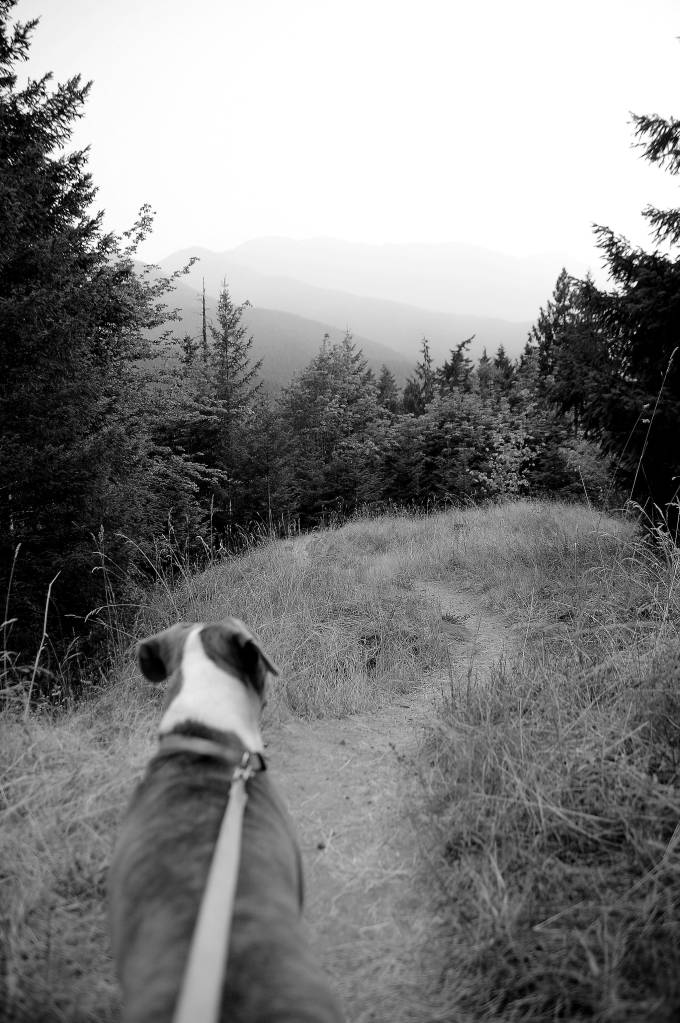 On the Trail: Day trip delight on the Gray Wolf Trail