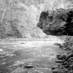 On the Trail: Day trip delight on the Gray Wolf Trail