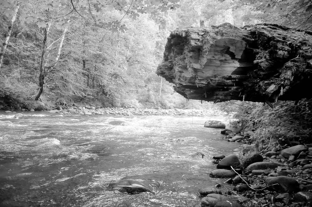 On the Trail: Day trip delight on the Gray Wolf Trail