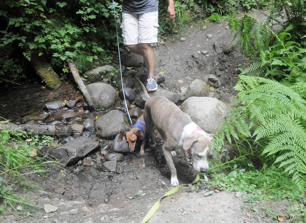 On the Trail: Day trip delight on the Gray Wolf Trail