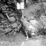 On the Trail: Day trip delight on the Gray Wolf Trail