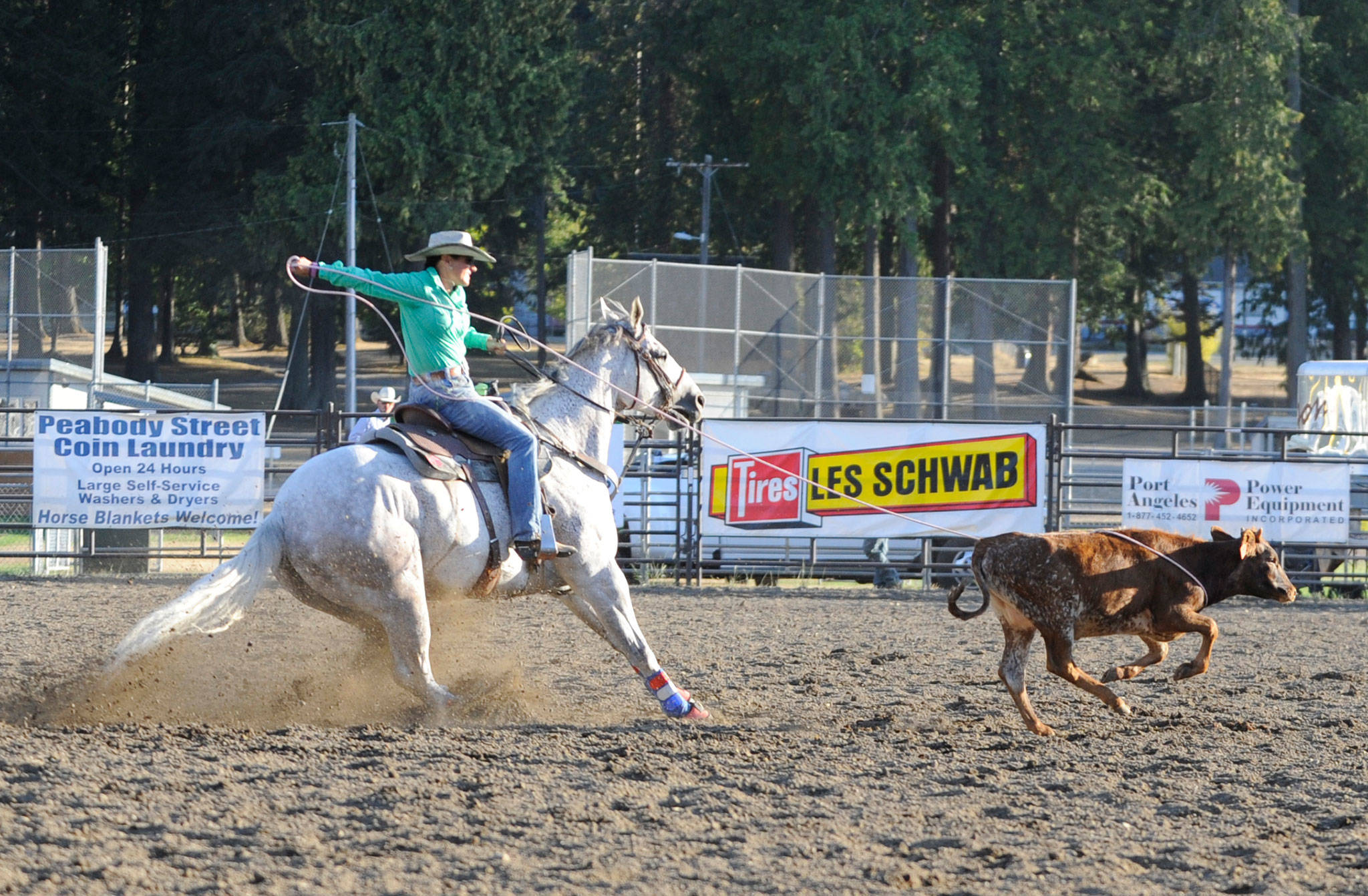 Plenty for sports fans at 2017 Clallam County Fair