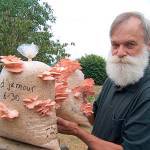 Learn how to cultivate mushrooms