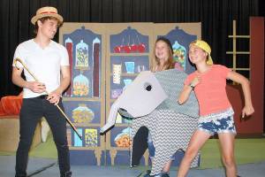 Olympic Theatre Arts presents original musical ‘Strictly No Elephants’