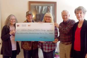 Milestone: Helping Volunteer Hospice efforts soar
