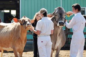 NOLT to honor WSU Extension with Farmer of the Year award