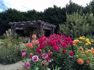 Master Gardeners hosting Garden Festival