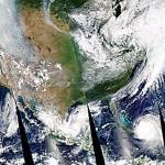 Think About It: Forest fires and floods