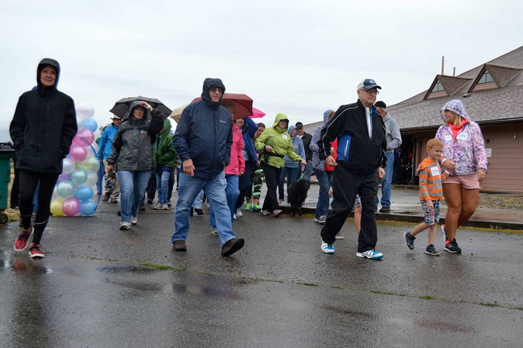 More than 100 walkers turned out for the the Dungeness Valley Health and Wellness Clinic&rsquo;s Fun Walk on Sept. 9. Together, they raised nearly $30,000 to support the free clinic. Sequim Gazette photo by Matthew Nash