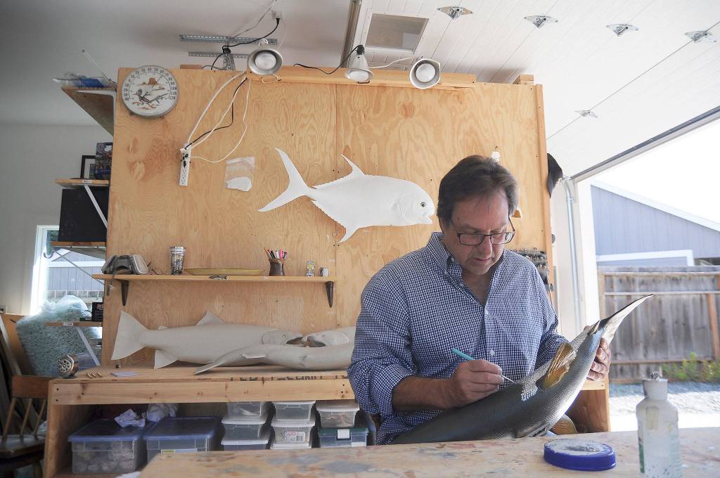 Catch, create and release: Sequim artist finds inspiration in local fish
