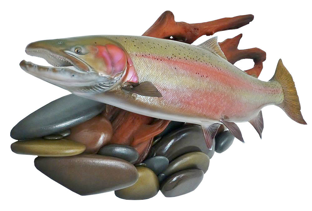 &ldquo;Kispiox River Steelhead&rdquo; is a 30-pound British Columbia up river steelhead fish replica featured on a river rock and driftwood wall display. Submitted photo