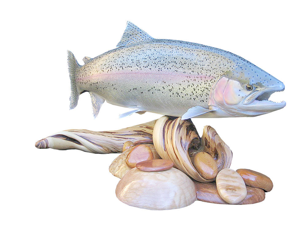 Catch, create and release: Sequim artist finds inspiration in local fish