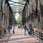 The Dungeness River Railroad Bridge will be a hotspot once again for the 18th Dungeness River Festival on Sept. 29. Organizers changed the event to just one day this year. Sequim Gazette file photo by Matthew Nash