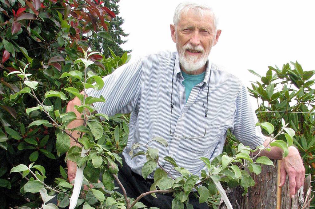 Learn all about growing dwarf fruit trees