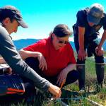 Hunt for green crab winding down for winter