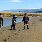 Lower Elwha Klallam Natural Resources staff scout Pysht Estuary for locations to place traps for European green crab. This is one of 52 early detection sites for the invasive species spearheaded by the Crab Team through Washington Sea Grant. Photo by Emily Grason/Washington Sea Grant