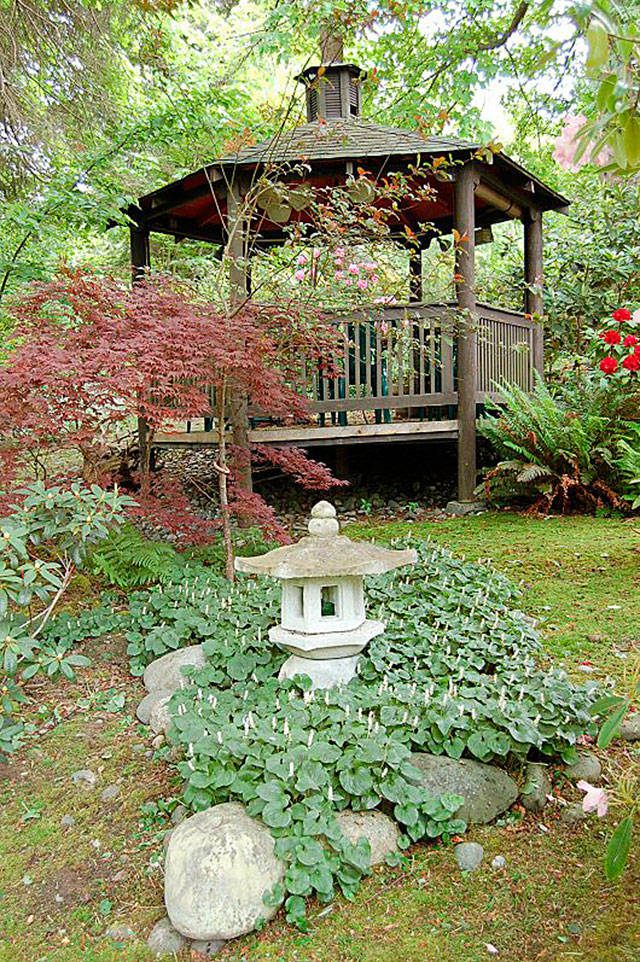 Get It Growing: Native plants for low maintenance landscaping