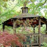 Get It Growing: Native plants for low maintenance landscaping