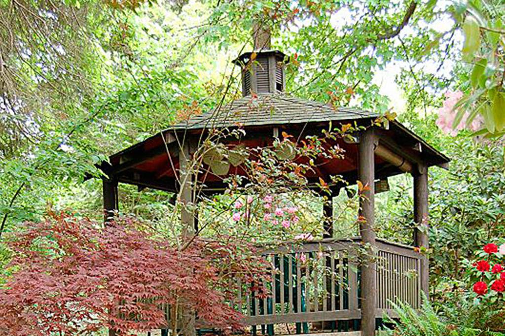 Get It Growing: Native plants for low maintenance landscaping