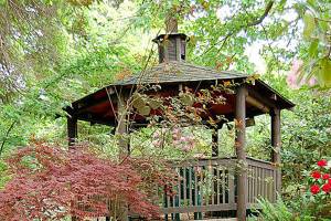 Get It Growing: Native plants for low maintenance landscaping