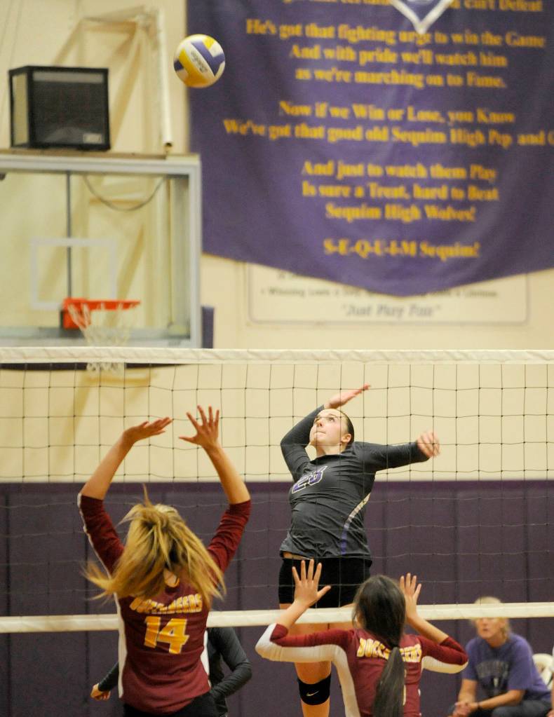 Sequim High junior Tayler Breckenridge keeps her eye on the ball as she looks for a kill in a Sept. 28 home match against the Kingston Buccaneers. Sequim Gazette photo by Michael Dashiell
