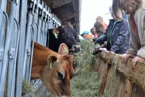 Fun abounds at Family Farm Day