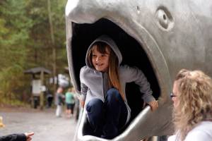 One-day River Fest a hit, organizers say