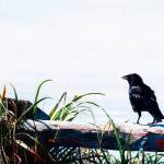 Art association member show set for Oct. 12-15