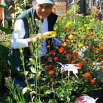 ‘Green Thumb’ series presenter talks beneficial insects