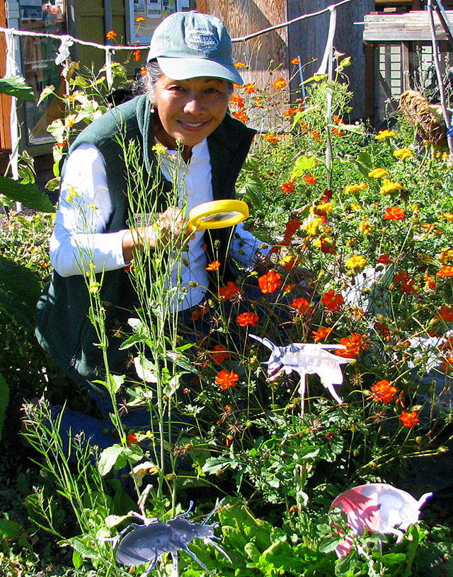 ‘Green Thumb’ series presenter talks beneficial insects