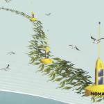 Sequim scientists developing seaweed line as next wave of future in fuel