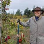 Join in the fun at the Fall Fruit Show