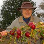 Join in the fun at the Fall Fruit Show