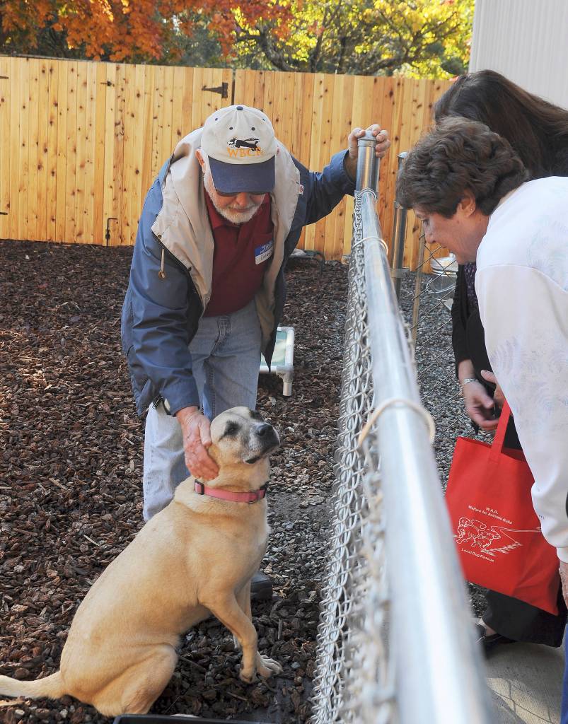 WAG volunteer Glen Varvil and 3-year-old Rosie greet visitors to the organization&rsquo;s open house on Oct. 28.