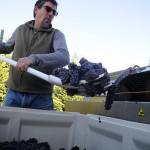 Season’s Final Squeeze