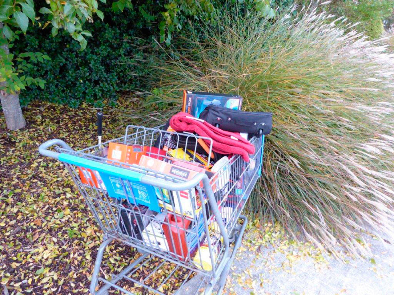 Deputies say Jason Brack, 20, stole a shopping cart with nearly $1,000 worth of merchandise from the Sequim Walmart on Saturday. (Clallam County Sheriff&rsquo;s Office)