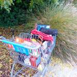 Deputies say Jason Brack, 20, stole a shopping cart with nearly $1,000 worth of merchandise from the Sequim Walmart on Saturday. (Clallam County Sheriff&rsquo;s Office)