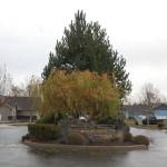 City councilors approve 128 home development