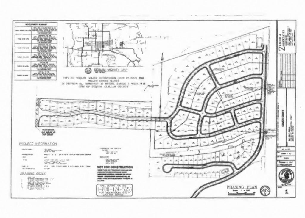 Willow Creek Manor proposes 128 new homes on the east side of the map with lots going down through 2022. Phase A is the western strip of the map and serves as the only public access point for the property until Phase D is built, city staff said. Submitted graphic