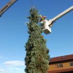 Sequim’s seasonal greetings