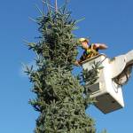 Sequim’s seasonal greetings