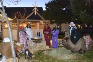 Dungeness Courte goes live with the nativity