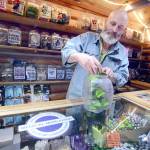 Dan Nielsen, a budtender at Sea Change Cannabis, stocks shelves at the Discovery Bay business Thursday. (Jesse Major/Peninsula Daily News)